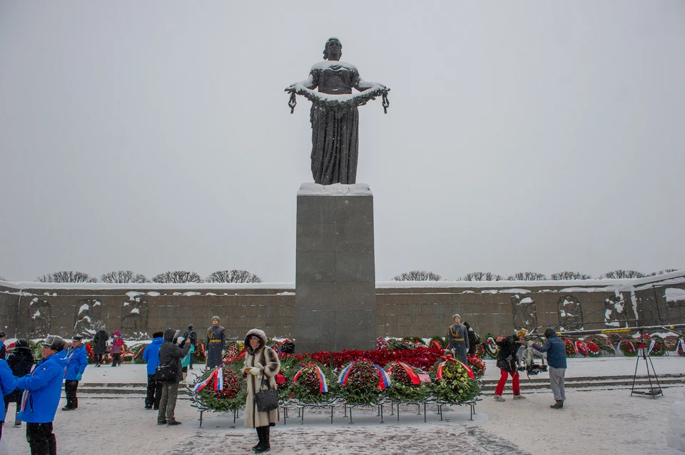 В новогодние праздники вандалы срубили елки возле Пискаревского кладбища