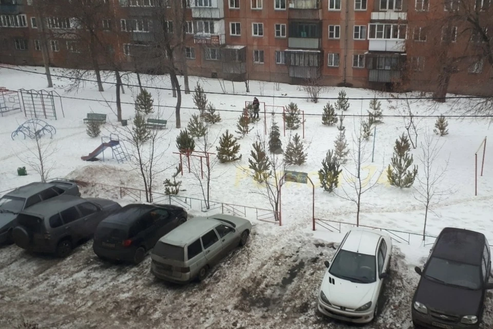 В Ленинском районе Челябинска нашли "мертвый лес". Фото: соцсети.