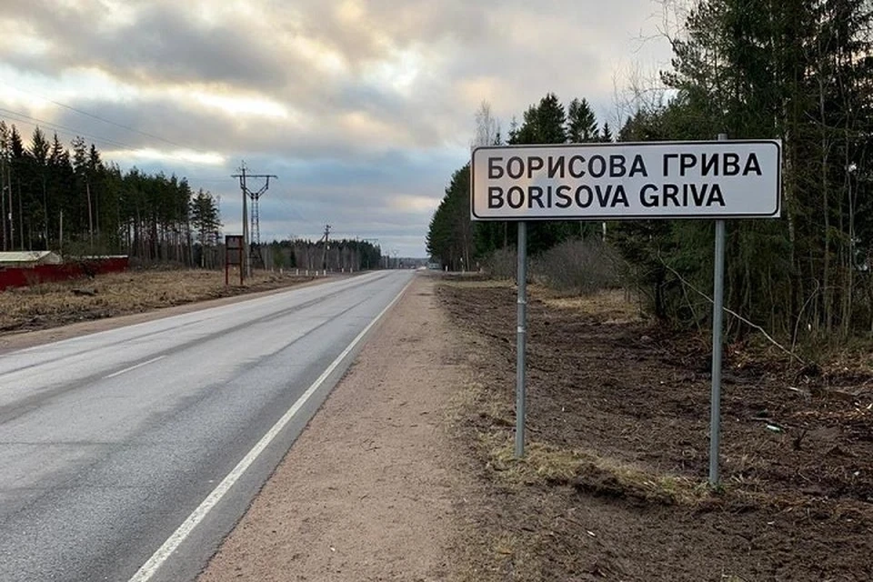 Трассу «Магистральная» в Ленобласти перекроют из-за марафона «Дорога жизни» / Фото: ФКУ Упрдор «Северо-Запад».