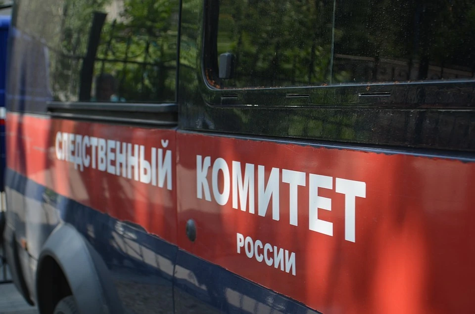Пропавшую девочку нашли живой на улице Вышнего Волочка