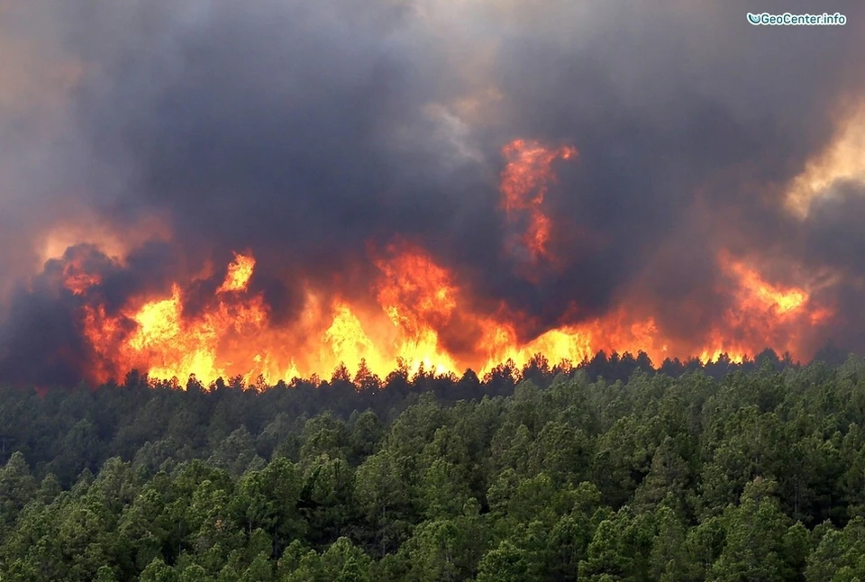 Молдова на пороге экологической катастрофы: нам серьезно грозят лесные пожары