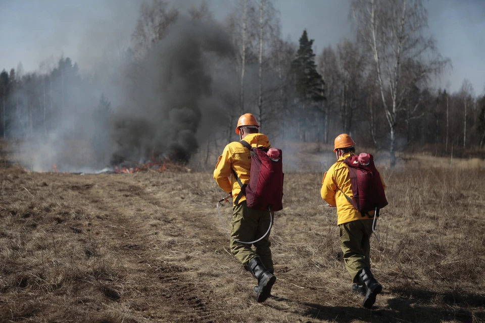 5687 пожаров случилось в Псковской области в 2019 году.