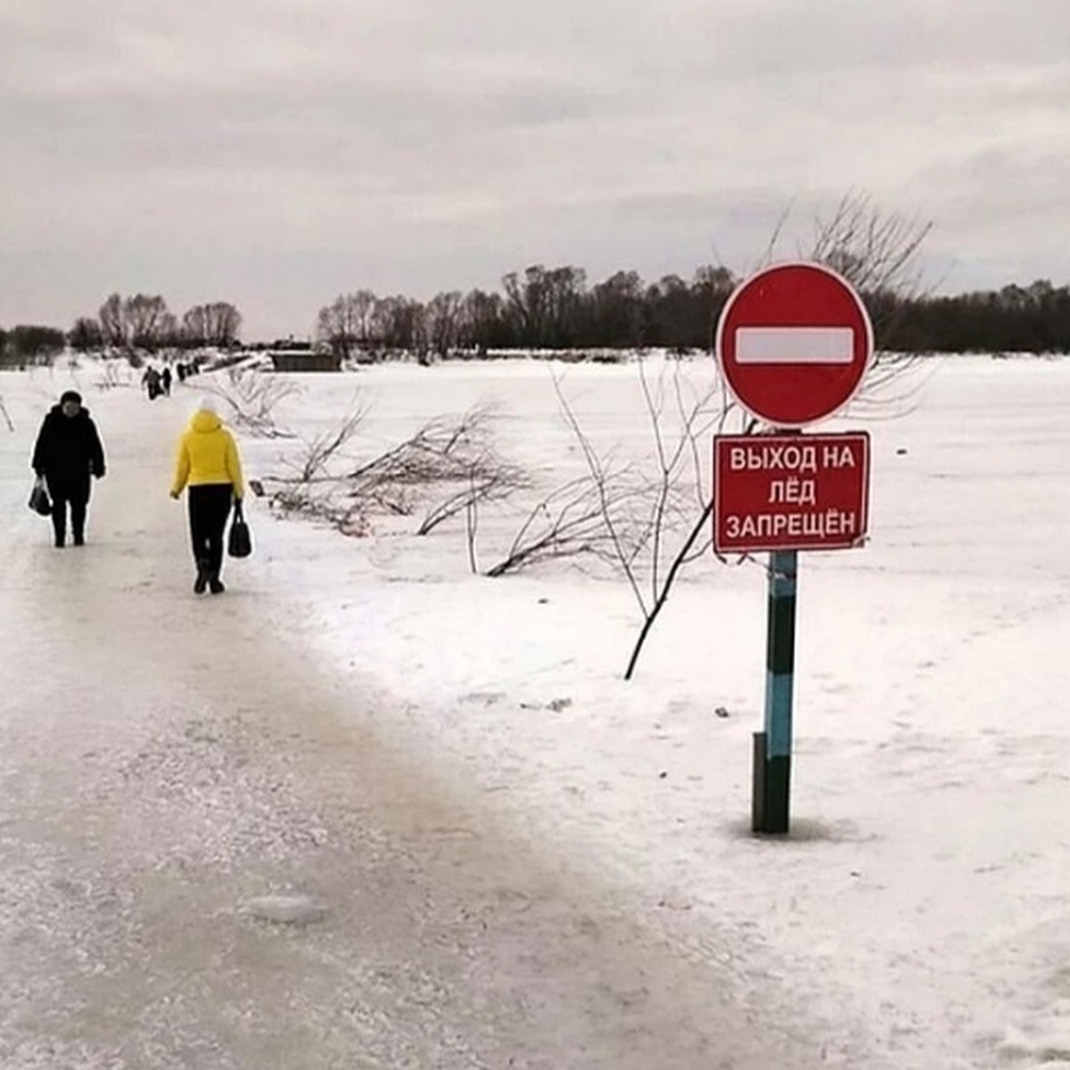 Переправа между поселком Тумботино и Павловом станет бесплатной - KP.RU