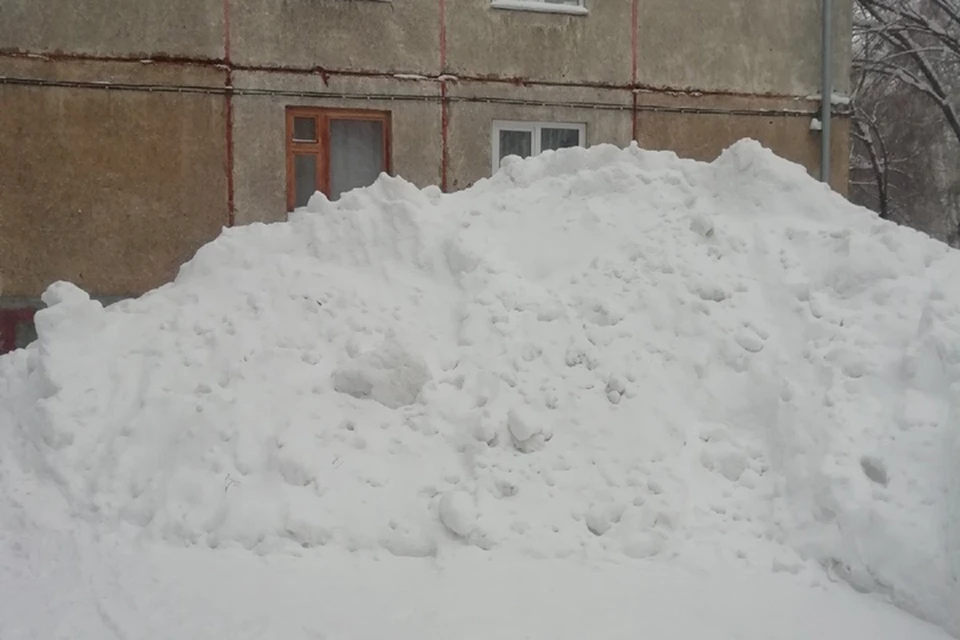 В некоторых частях Алтайского края снега выпало на 100 - 180% больше