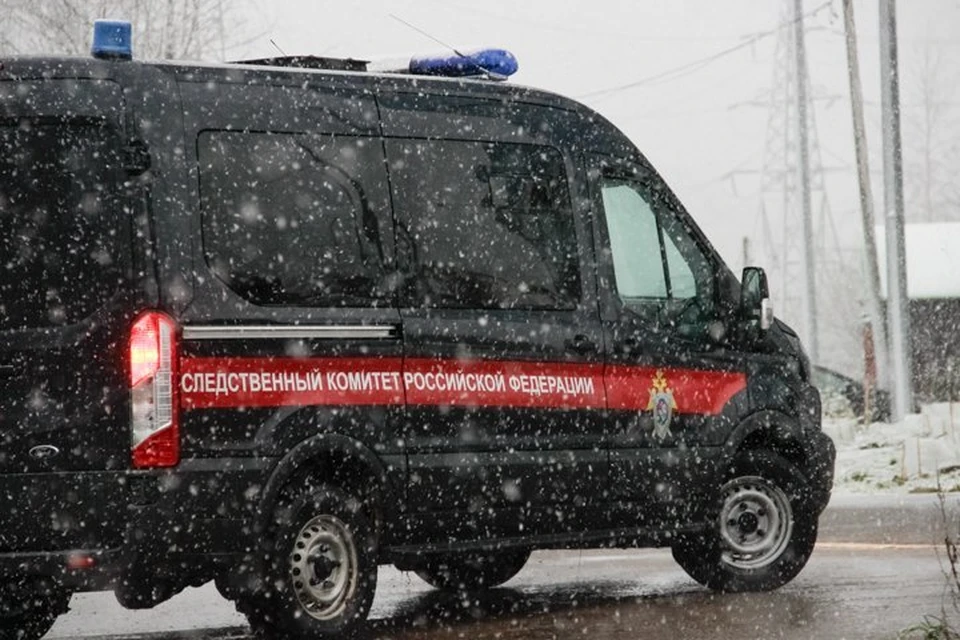 Таким образом он распространил сведения о частной жизни женщины