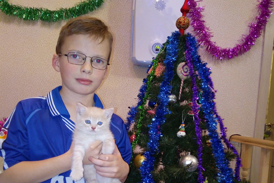 Восьмилетнему Никите Шапочкину отказывают в лекарствах, несмотря на решение суда.
