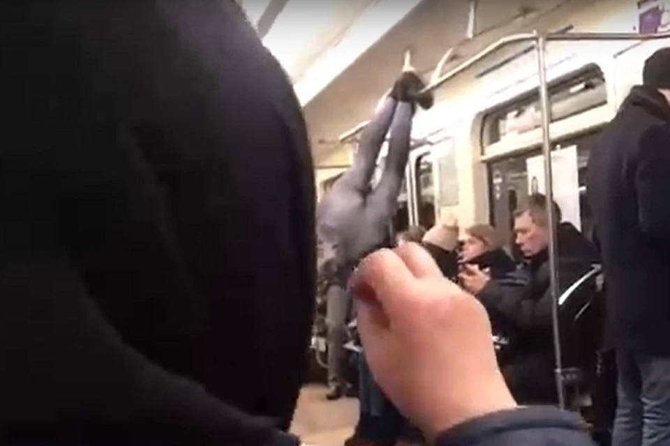 Бабушка перекрестила "демона" человека-паука в петербургском метро