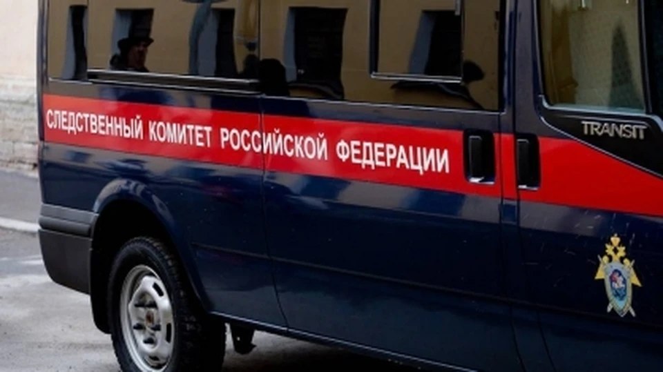 Следователи проверят информацию