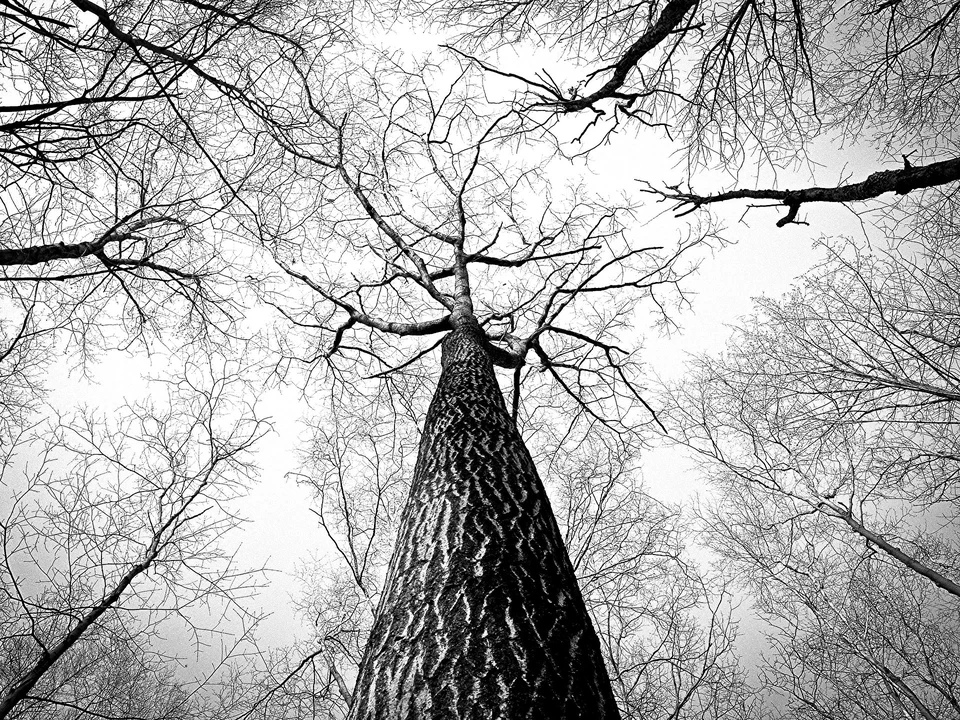 Фото: pixabay.com