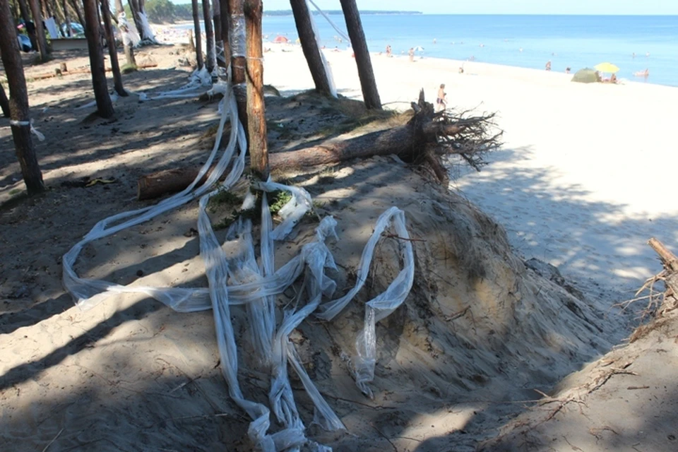 Последствия неорганизованного пляжного отдыха в Куликово.