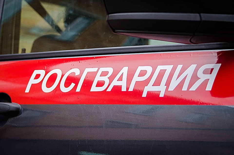 Фото: пресс-служба Управления Росгвардии по Брянской области