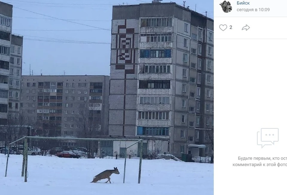 В бийске секс скрытой камеройнаташа бийск секс скрытая камера: 3004 видео в HD