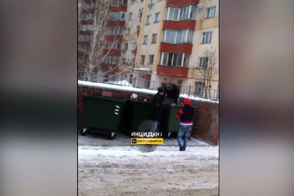 Молодые люди шарились в мусорке. Фото: скриншот из видео.