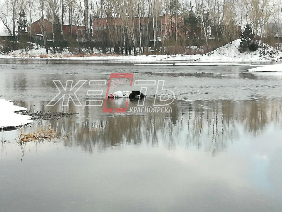 Страшную находку сделали жители района. Фото: Жесть Красноярска.