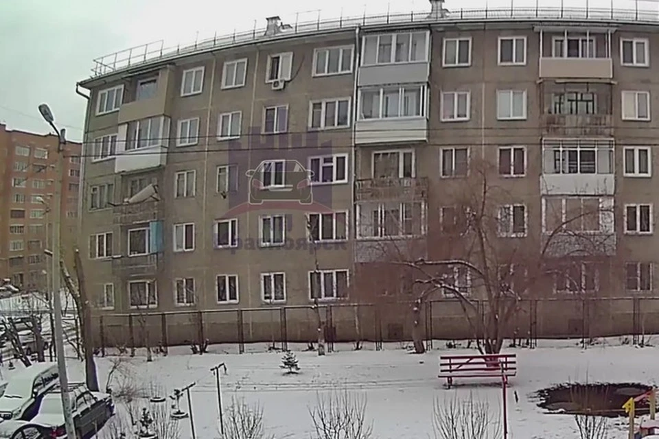 В Красноярске кроху той-терьера выбросили в окно с пятого этажа. Стоп-кадр видео