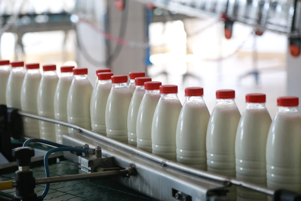 Кубань - лидер по производству молока в стране