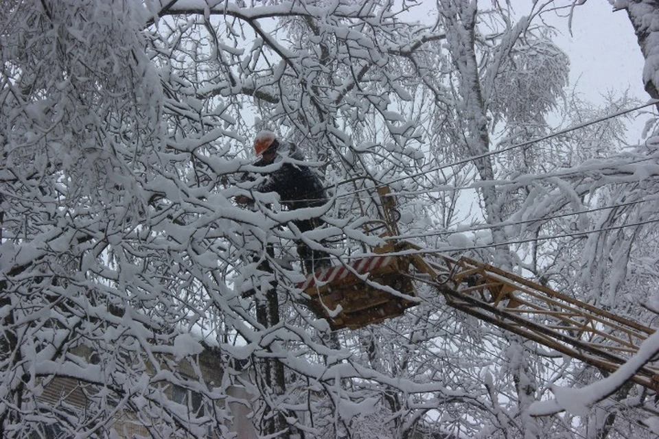 Порывы ветра 24 февраля достигали 25 метров в секунду