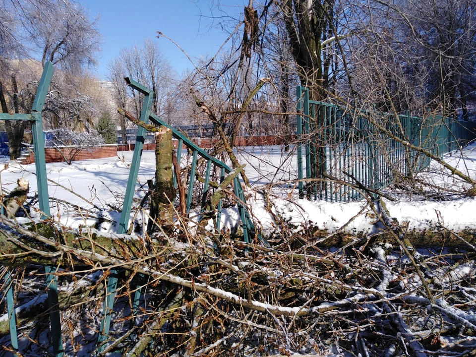 Непогода в Белгородской области показала свой крутой характер.