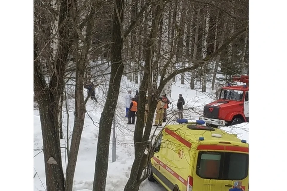 Фото: предоставлено очевидцами