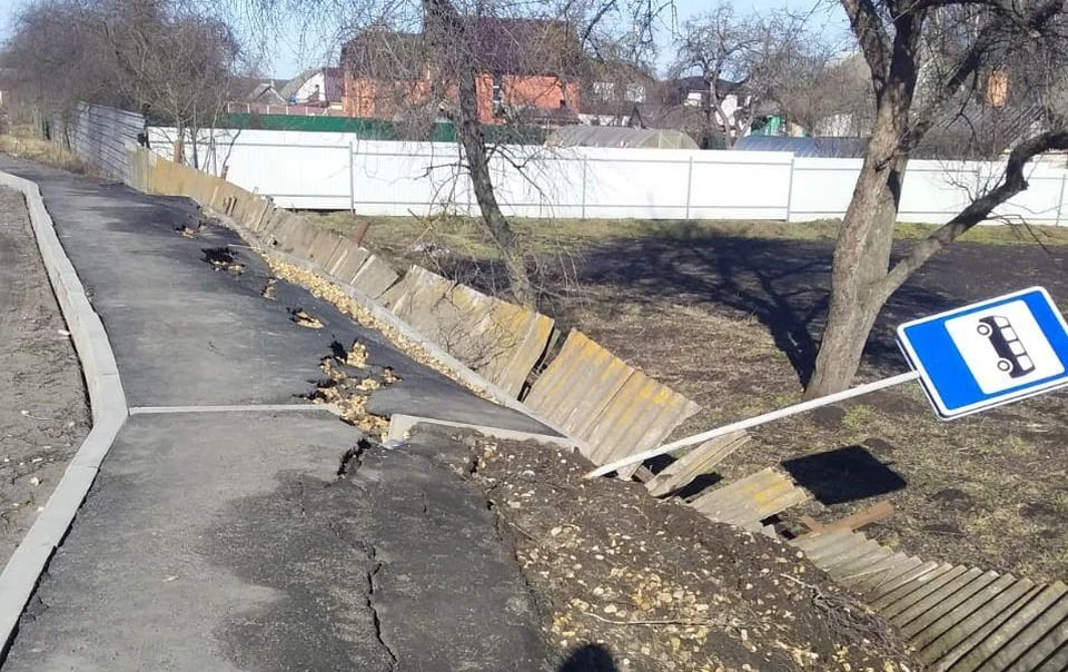 Фото: пресс-служба регионального отделения ОНФ.