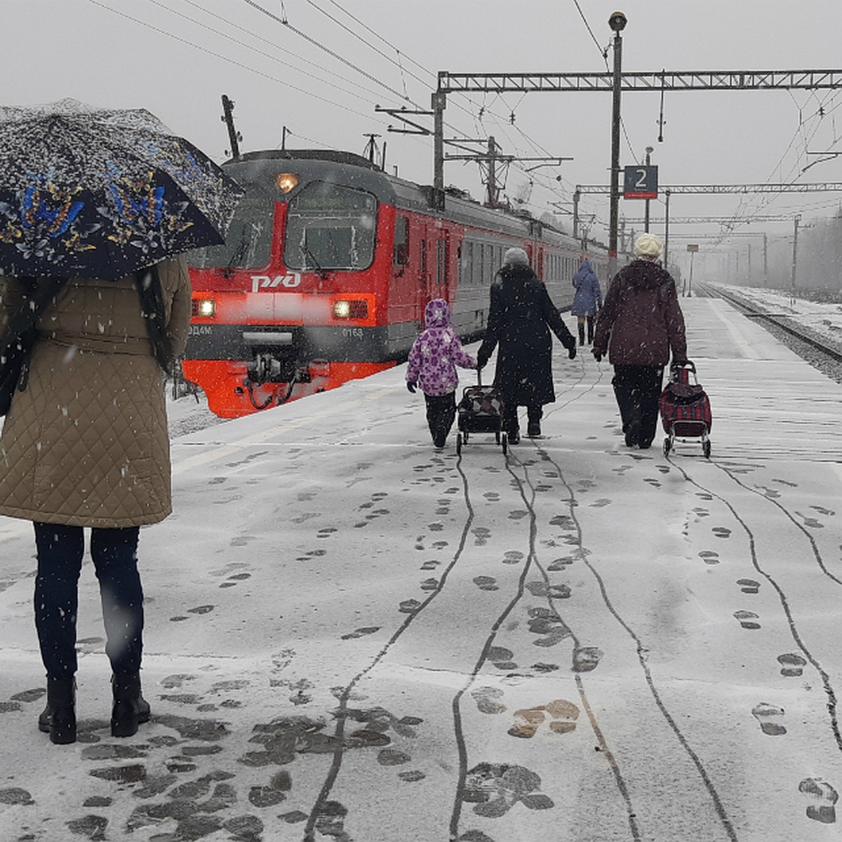 В Заполярье собираются запустить электричку от Мурманска до Кандалакши -  KP.RU