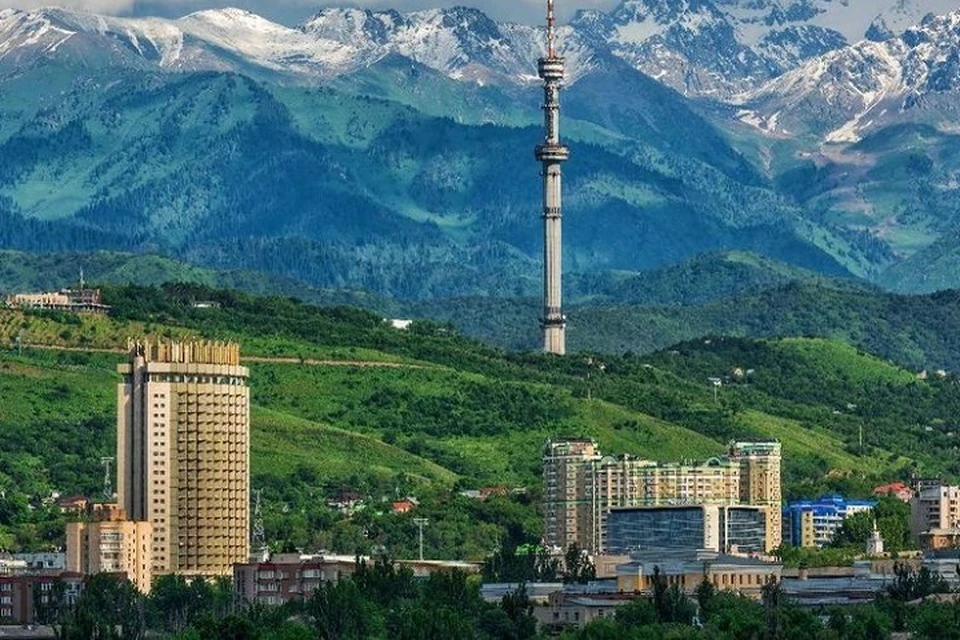 Иллюстративное фото