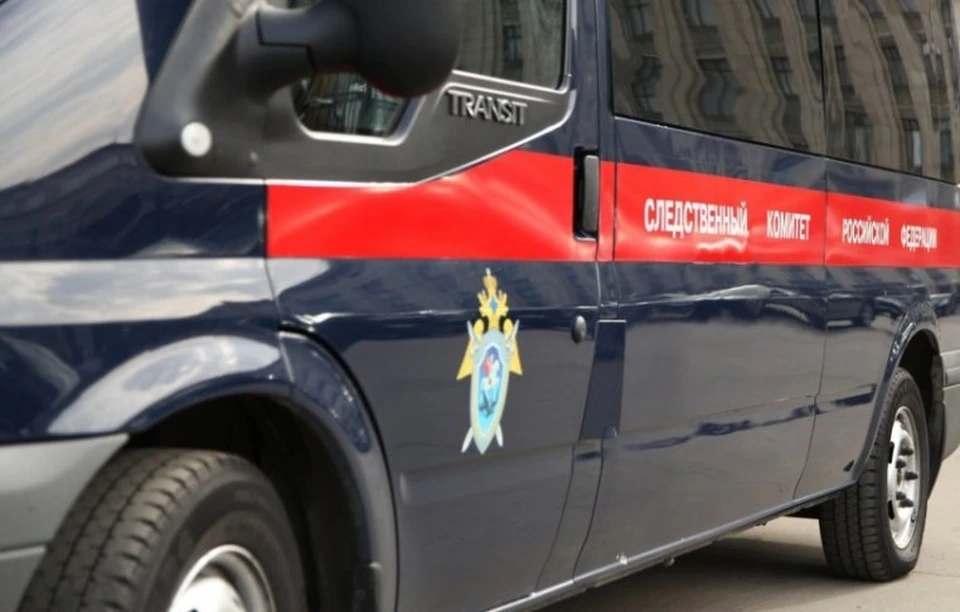 По данному факту проводится доследственная проверка.