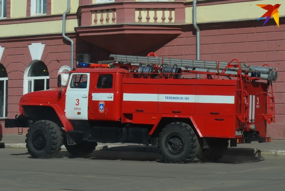 Фото: Ольга СУПОНЕВА