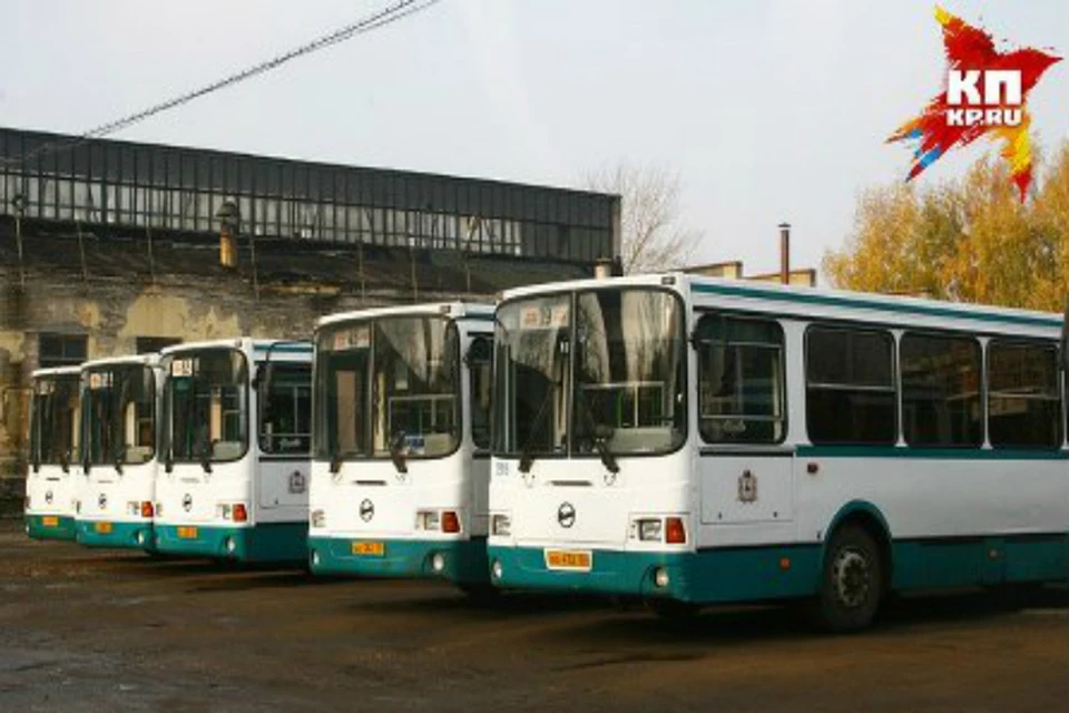 В прошлом году на линию вышли 56 новых автобусов, но предприятие не смогло завершить год без убытков