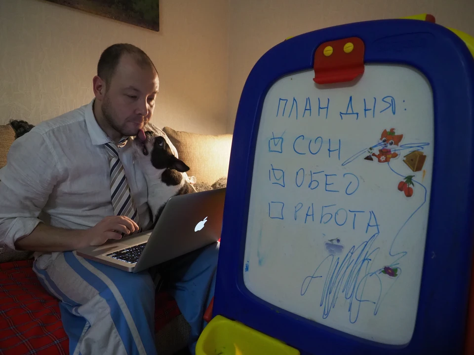 Одним из популярных направлений для самозанятых может стать удаленная работа