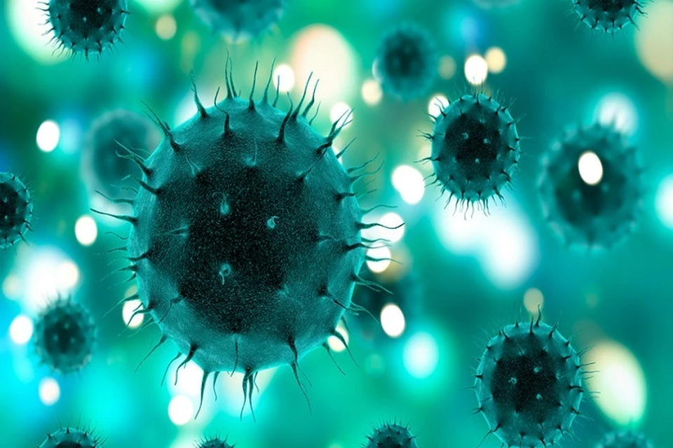 Вирус COVID-2019 не сохраняется в окружающей среде и погибает в течение 1 часа.