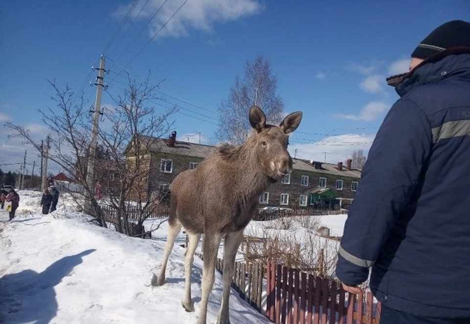 Фото: .Финно-Угорский Этнопарк