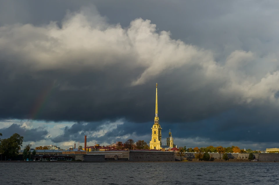 МЧС предупредило петербуржцев о штормовом ветре