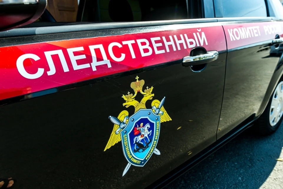 Два человека погибли в Кузбассе по вине автокрановщика