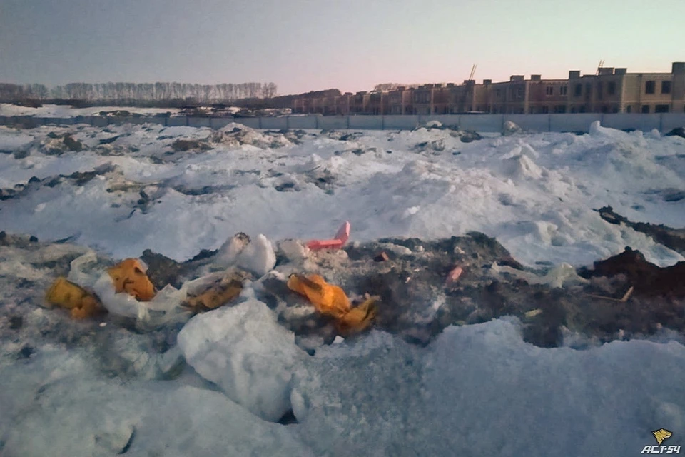 В поле оттаял мусор, который всю зиму вывозили со стройки. Фото: Татьяна Женькина