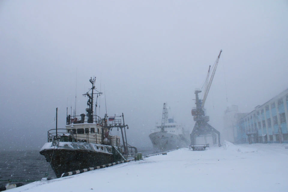 25 марта в Мурманском морском рыбном порту опять работали сотрудники ФСБ. Фото: пресс-служба ММРП