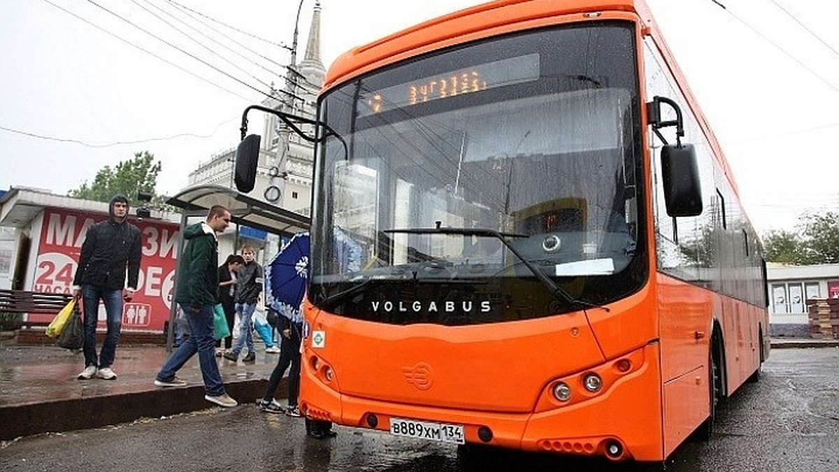 Самоизоляция в Волгограде: в Волжский пустят 2 автобуса - KP.RU