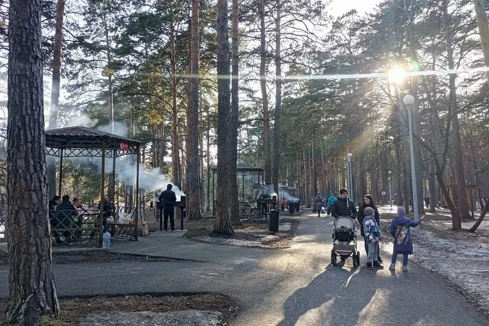 Коронавирус в Югре, последние новости на 4 апреля 2020: составлено 69 протоколов о нарушении самоизоляции