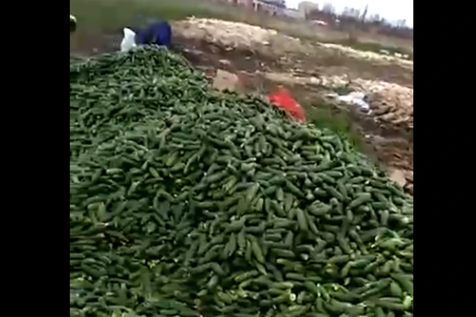 Скриншот видео