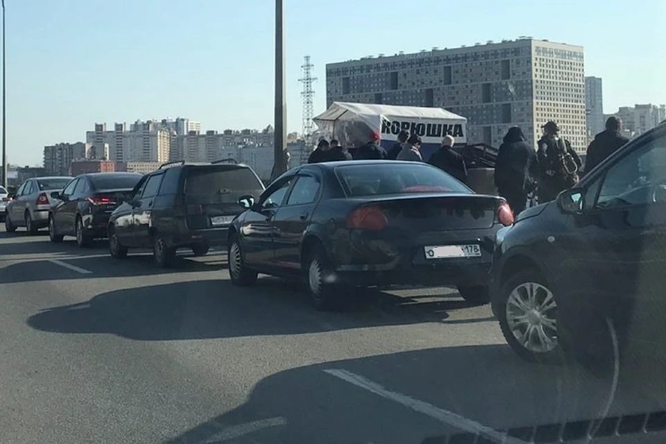 Любовь к корюшке сильнее любых запретов. И здравого смысла. Фото: vk.com/spb_today