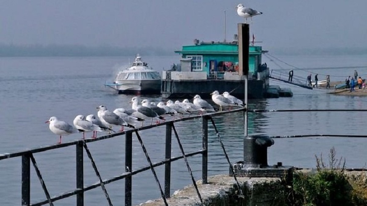 В Хабаровском крае целое село закрыто на карантин – в Богородском выявлено  сразу четверо заболевших коронавирусом - KP.RU