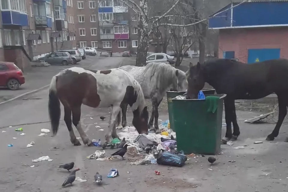 Смоотреть жену лапают в машине при муже порно видео