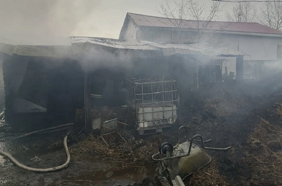 Фото: ГУ МЧС по Свердловской области