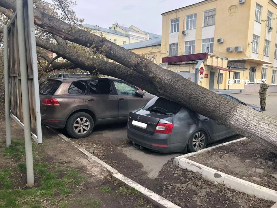 Дерево чудом не задело вторую машину ФОТО: ДТП 163