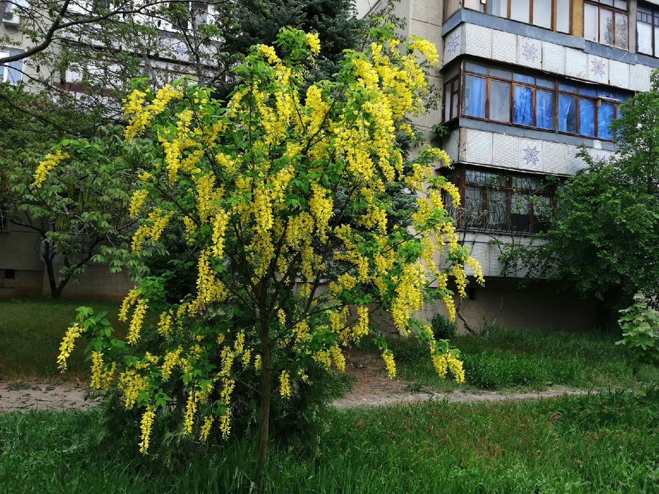 В Симферополе тепло до +19