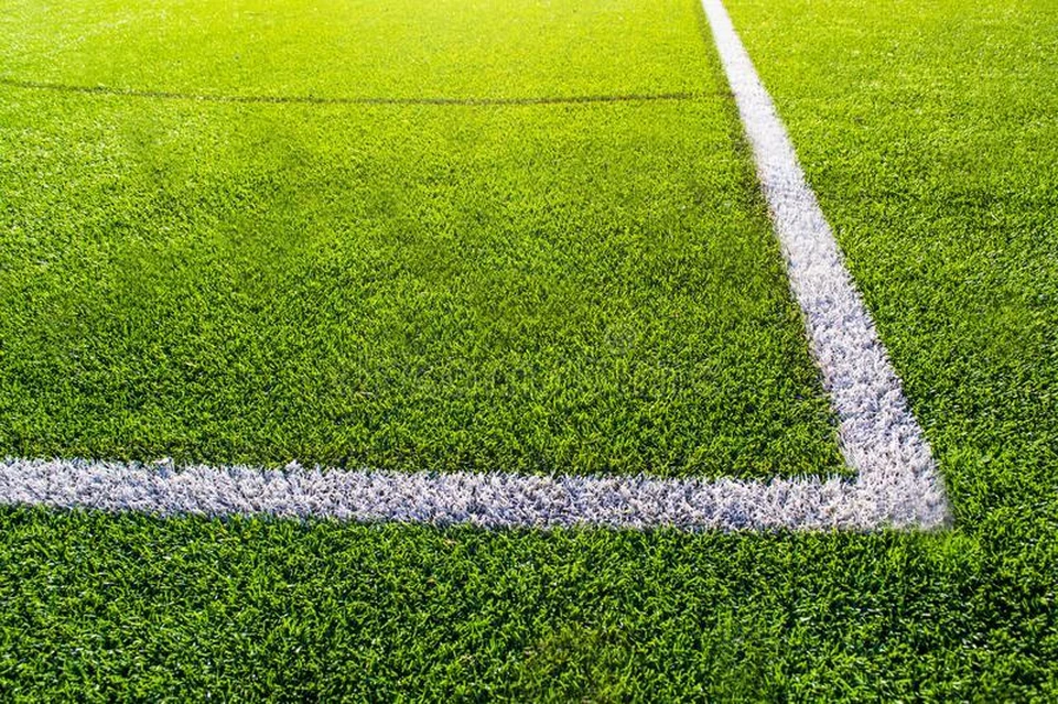 В нашу область поступит искусственное покрытие для футбольного поля размером 20х40 метров