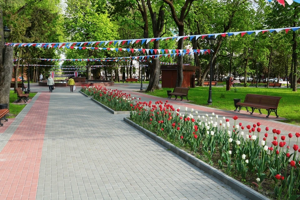 На смену тюльпанам сотрудники дорожного управления города высадят бегонию, гацанию, портулаки, бархатцы, герань, цинерарию, ампельные вербену и петунию.
