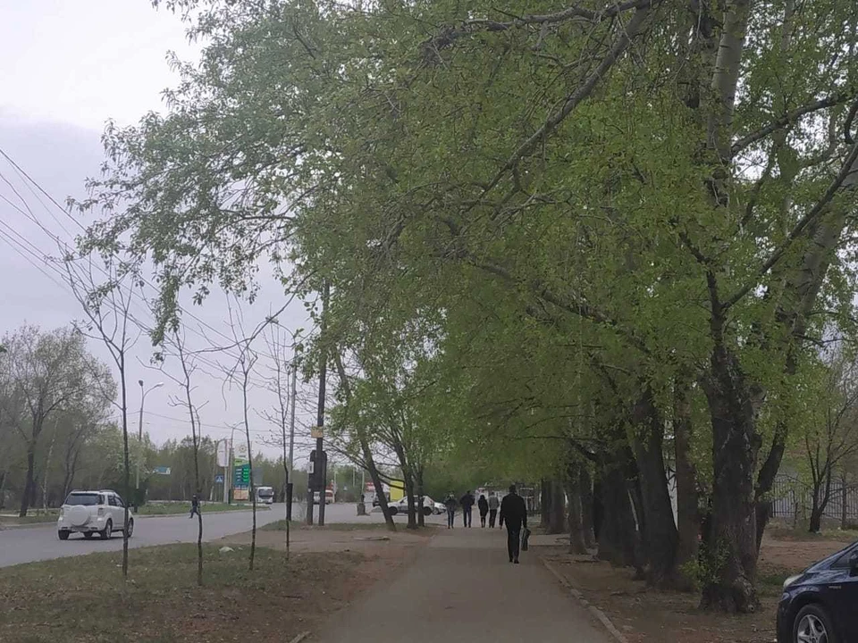 Первым энергетики перекроют движение на участке возле дома 55 по улице Тихоокеанской