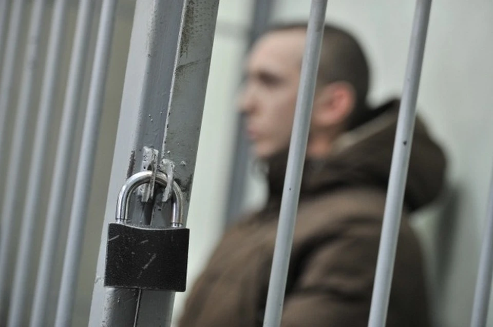 Мужчину отправили в колонию особого режима на 12 лет