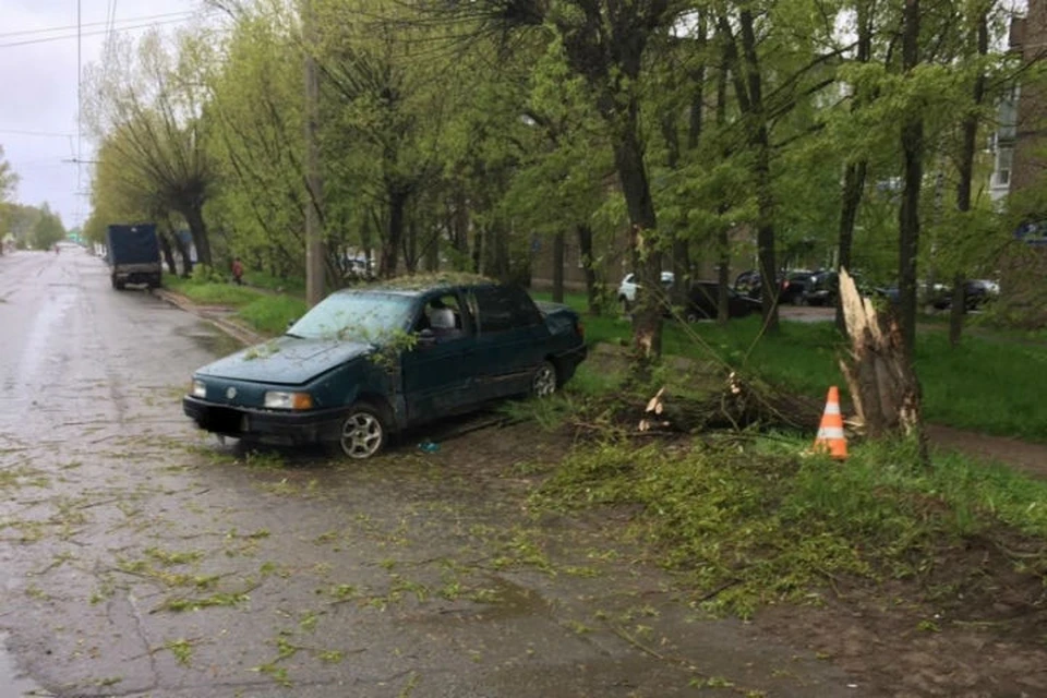 Водитель не справился с управлением и врезался в дерево. ФОТО: Пресс-служба УМВД России по Ярославской области